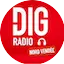 Logo DIG RADIO Nord Vendée