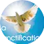 Logo Radio Evangélique de la Sanctification