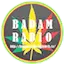 Logo BADAM RADIO
