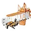 Logo Evoluxion radio