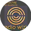Logo Radio Wizje