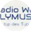 Logo Radioflymusic