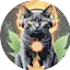 Logo JAHKRA VYBZ Radio