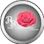 Logo La Rose du Bonheur