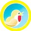 Logo Luscini