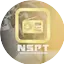 Logo Ns Party Team