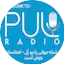 Logo Pul Radio | رادیو پُل