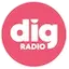 Logo DIG RADIO Sud Vendée