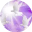 Logo Holy Trinity