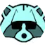 Logo Racoon Radio