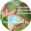 Logo Seyram Fm