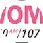 Logo WOMT