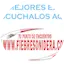 Fiebre Sonidera Radio