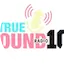 Logo Truesound 101