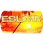 Logo LiveSummer Radio