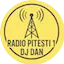 Logo Radio Pitesti 1 Popular
