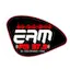 Logo ERM