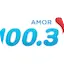 Logo Amor 100.3