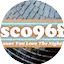 Logo Disco 96 FM