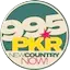 Logo 99.5 PKR