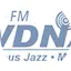 Logo WDNA FM