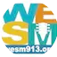 Logo WESM 91.3 FM
