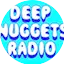 Logo Deep Nuggets Radio