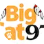 Logo Big Cat 97.1