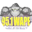 Logo 95.1 WAPE