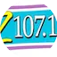 Logo 107.1 The Z - WZVN