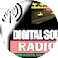 Logo Digital Soul Radio Network