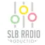 Logo The Saturday Light Brigade