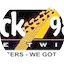 Logo Rock 98.3 The Twins