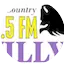 Logo Willy 103.5 FM