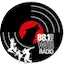 Logo 88.1 WolfBytes Radio