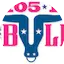 Logo 105.1 The Bull