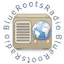 Logo BlueRootsRadio