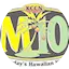 Logo FM100