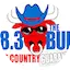 Logo The Bull