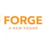 Logo Forge 103.9
