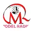 Logo Radio Tele Model FM 88.9