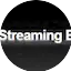 Logo The Streaming Bible