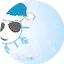 Logo Snowy Radio