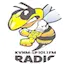 Logo KVNM