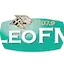 Logo LeoFM