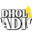 Logo Dhol Radio