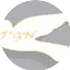 Logo Pure Gospel Network