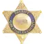 Logo Los Angeles County Sheriff Fire and Aircraft Santa Clarita V