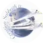 Logo Radio Creation Sabbath TV