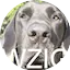 Logo WZIG 104.1 FM